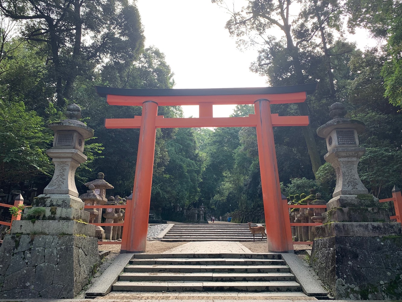 写画廊 春日大社 写画廊 春日大社