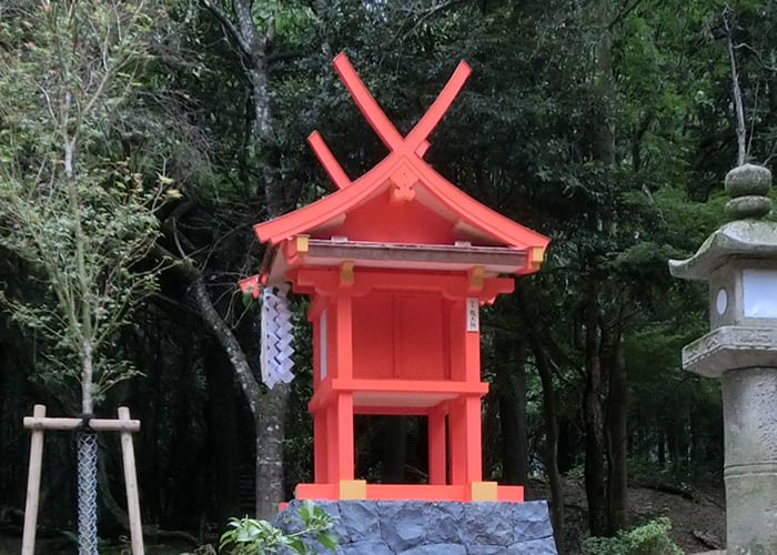 社