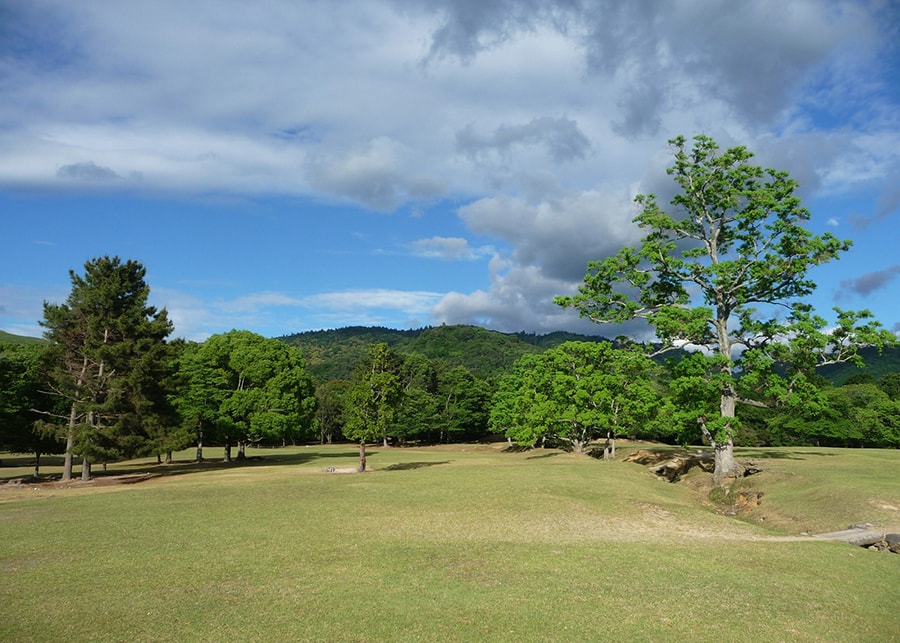 飛火野 | 春日大社 