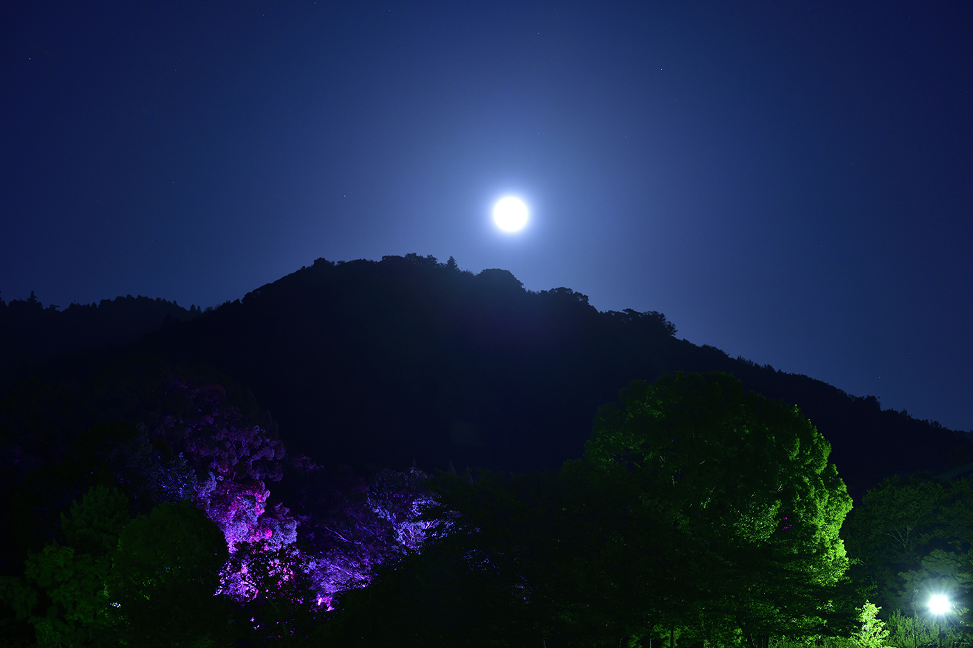 御蓋山と月（撮影：桑原英文）