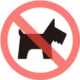 ban-pet ban-pet